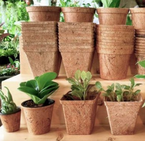 Nursery Pot